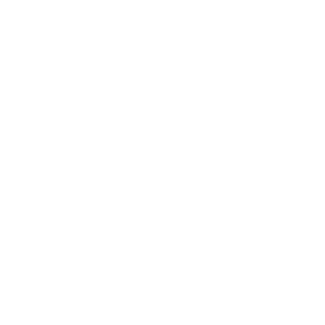 Hardcore Inc